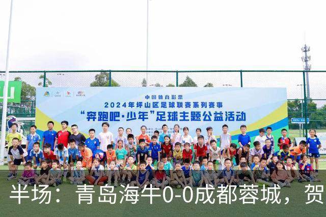 半场：青岛海牛0-0成都蓉城，贺一然、费利佩造险
